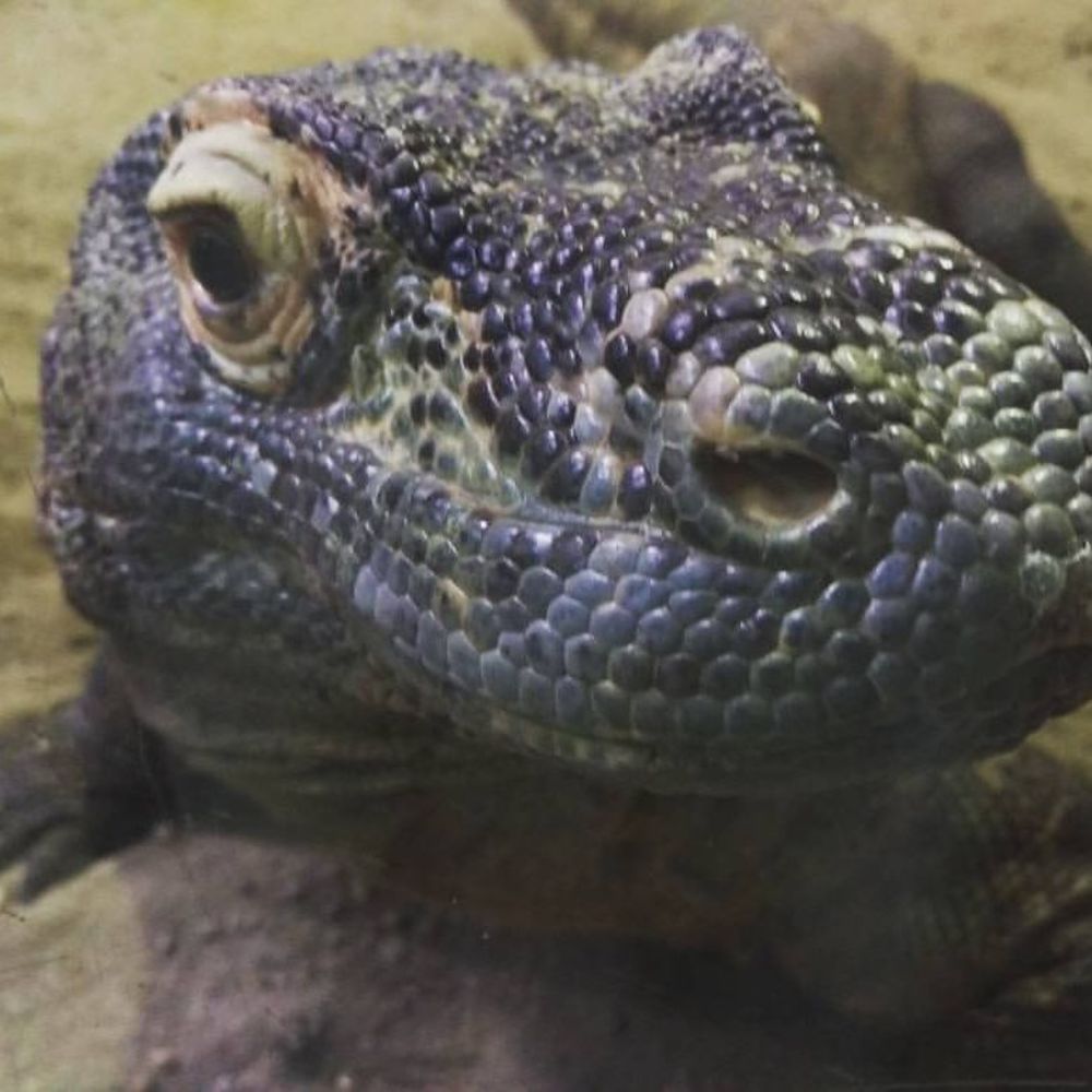 Meet your Posher, Kristina